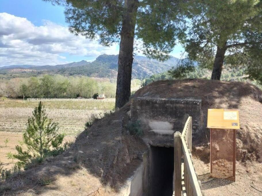 Ca Serrulleta Asco Exteriér fotografie